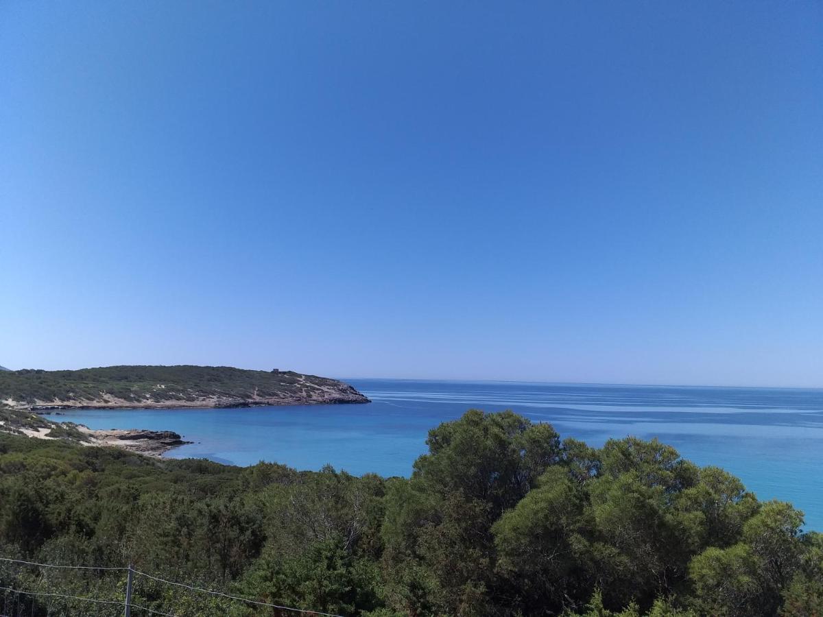 B&B Il Girasole SantʼAnna Arresi Dış mekan fotoğraf