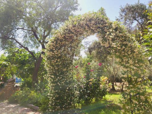 B&B Il Girasole SantʼAnna Arresi Dış mekan fotoğraf