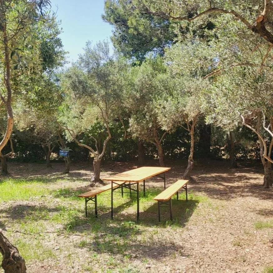 B&B Il Girasole SantʼAnna Arresi Dış mekan fotoğraf