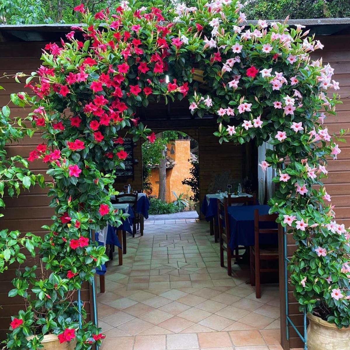 B&B Il Girasole SantʼAnna Arresi Dış mekan fotoğraf